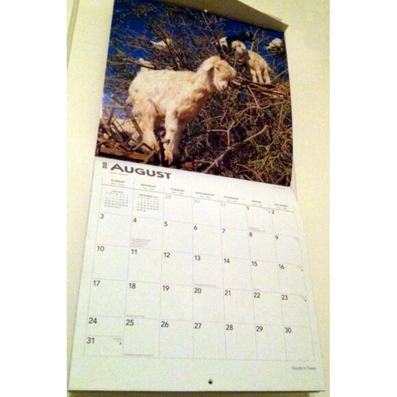 2025 Calendar, Goats in Trees, Monthly, 12" x 24" - Opened, Great Condition - Picture 9 of 15